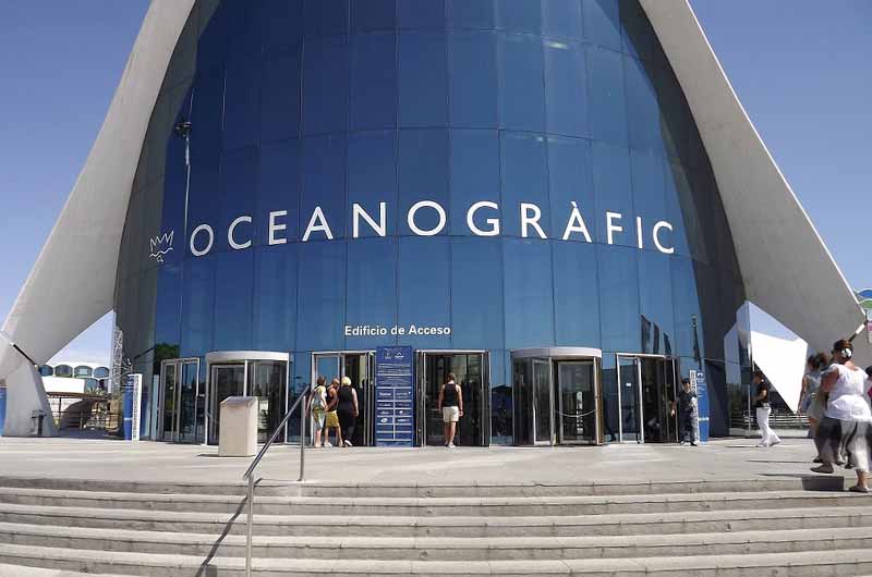 Qué ver en Valencia: Oceanogràfic